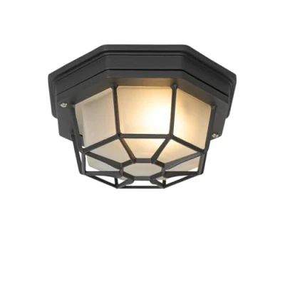 Afbeelding van QAZQA bri Landelijke Plafondlamp voor buiten 1 lichts Ø 213 mm Donkergrijs Buitenverlichting