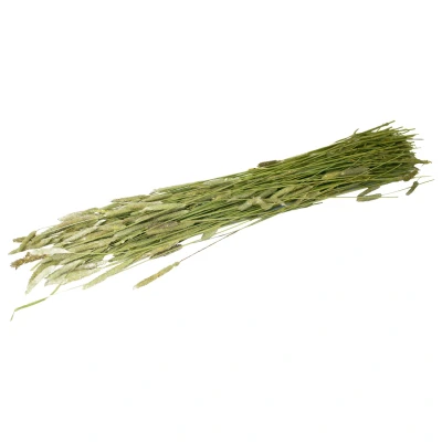 Afbeelding van Jr Farm Timothee Oogst Ruwvoer 16 x 6 65 cm 80 g