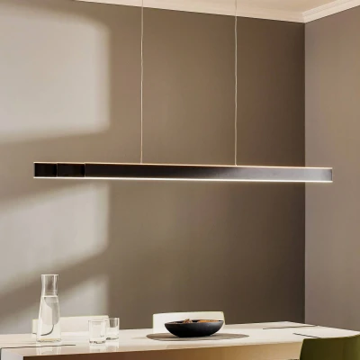 Afbeelding van Paul Neuhaus Strakke hanglamp Pure Lume antraciet 2738 13
