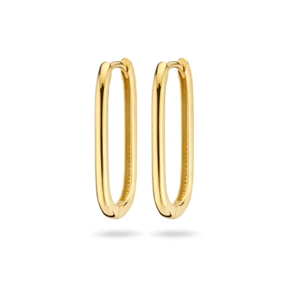 Afbeelding van goud (geelgoud) klapoorringen paperclip 4025122