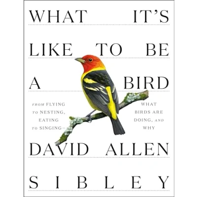 Afbeelding van What It&#039;s Like to Be a Bird: From Flying Nesting, Eating Singing Birds Are Doing, and Why
