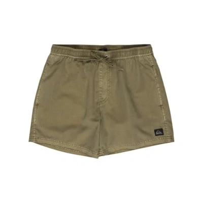 Afbeelding van Quiksilver Everyday Surfwash Volley Zwemshorts, Heren, Maat: Large, Aloe