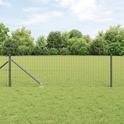 Afbeelding van vidaXL Euro Hek met 7 Spike Posts 0.6x10 m Gegalvaniseerd Staal Grijs