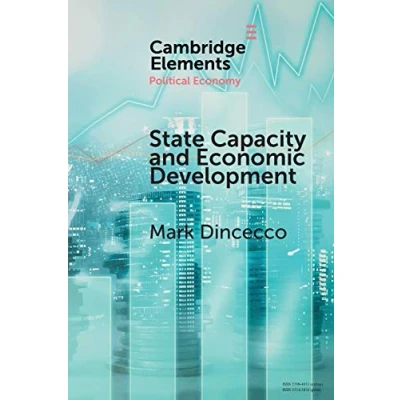 Afbeelding van State Capacity and Economic Development: Present Past