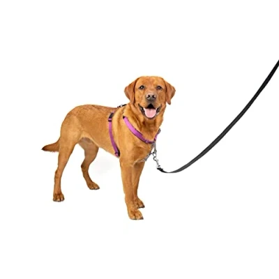 Afbeelding van PetSafe 3 in 1 harnas en autobeperking, groot, pruim, geen trek, verstelbaar, training voor kleine/middelgrote/grote honden