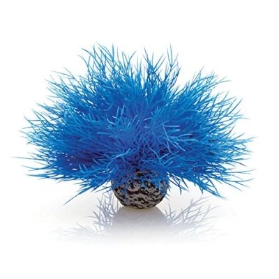 Afbeelding van biOrb Zee Lelie, Blauw