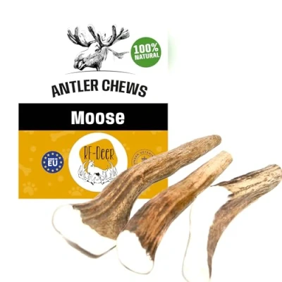 Afbeelding van RF DEER Elk gewei hondenkluif Een natuurlijke, veilige en gezonde traktatie voor uw hond Verkrijgbaar in verschillende varianten maat XXL, 14 17 cm HARDE versie 220 280 g 18 21