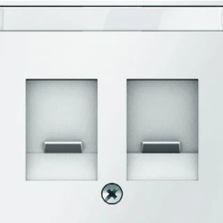 Afbeelding van Berker Q.1/Q.3 centraalplaat schuif/tekstveld 2 voudig wit fluweel