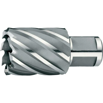 Afbeelding van Phantom Hss Kernboor, Snijdiepte 25 Mm 13mm