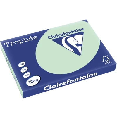 Afbeelding van Clairefontaine Trophée Pastel, Gekleurd Papier, A3, 120 G, 250 Vel, Groen Papier