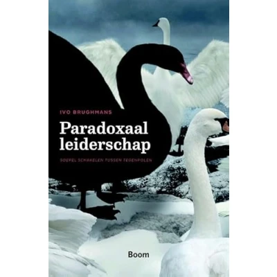Afbeelding van Paradoxaal leiderschap (Paperback)