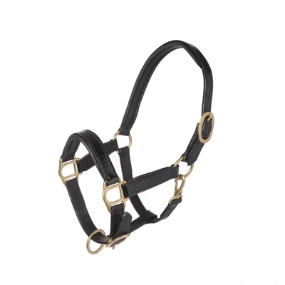 Afbeelding van MHS Leren Halster “Croco Pony Zwart Goud