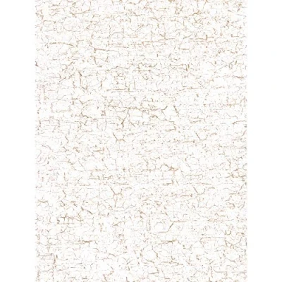 Afbeelding van Décopatch papier nr. 444 verpakking met 20 vellen (395 x 298 mm, ideaal voor uw papmachés) wit, craquelé