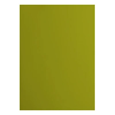 Afbeelding van Vaessen Creative Florence Cardstock papier, 2927 072, groen, 216 g/m², DIN A4, 10 stuks, glad, voor scrapbooking, kaarten maken, stansen en ander papierknutselwerk