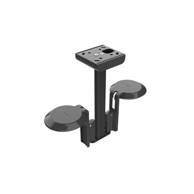 Afbeelding van Flexson FLXE100CM2021 speaker steun Plafond Roestvrijstaal Zwart