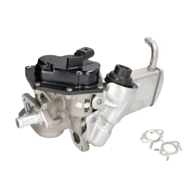 Afbeelding van Valeo EGR module 700438