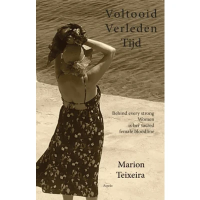 Afbeelding van Voltooid verleden tijd (Paperback)