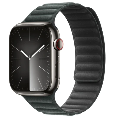 Afbeelding van Apple Watch Strap 45mm Evergreen Magnetic Link M/L (165 205mm)