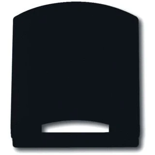 Afbeelding van Busch Jaeger, Accessoires schakelprogramma, Centrale schijf 2CKA001710A3898