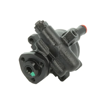 Afbeelding van Lauber Servopomp 55.4113