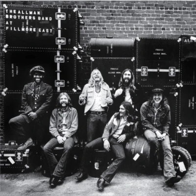 Afbeelding van the Allman Brothers Band Live At Fillmore East (LP)