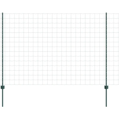 Afbeelding van vidaXL Euro Tuinhek Set van 2 Groen Staal 10 x 1.6 m Robuust