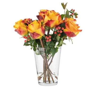Afbeelding van TREND FOR HOME Tulpenvaas H: 19 cm bloemenvaas glas grote vaas voor rozen glazen ronde tulpen Amaryllis rozenvaas doorzichtige diameter 14,2