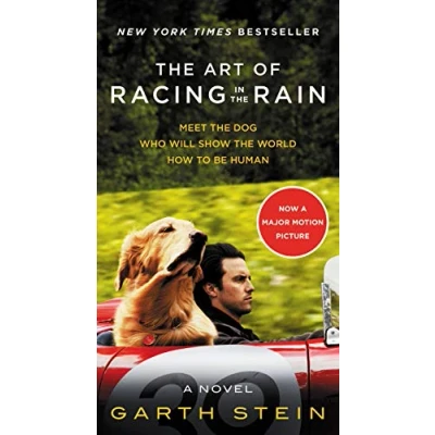 Afbeelding van the Art of Racing in Rain