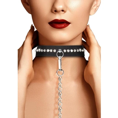 Afbeelding van Diamond Studded Collar with Leash