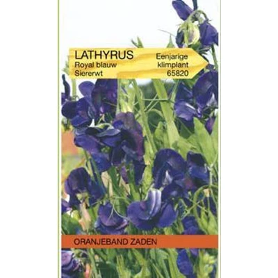 Afbeelding van Lathyrus, Reuk of siererwt Royal, blauw