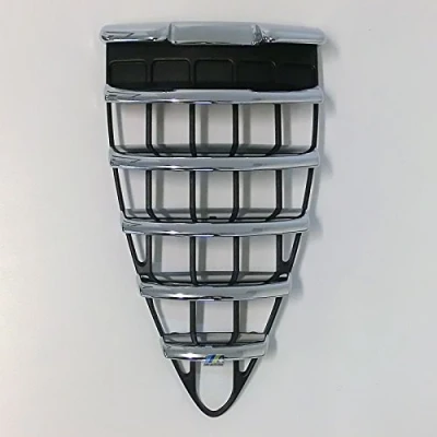 Afbeelding van Radiateurgrille PRASCO AA3402001
