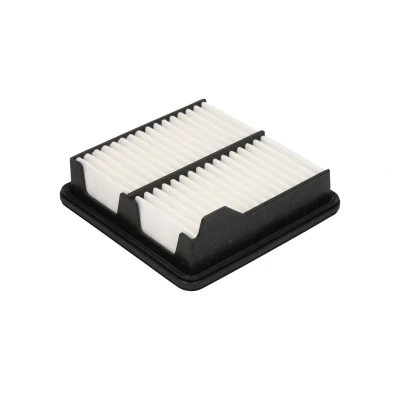 Afbeelding van Filtron Luchtfilter AP 106/4
