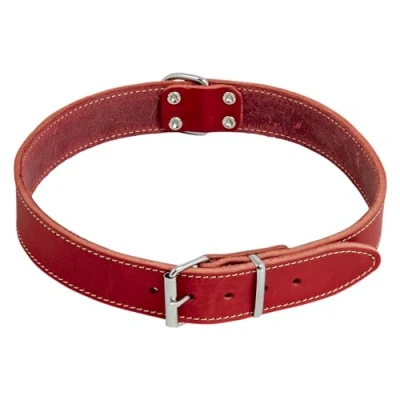 Afbeelding van JACK AND VANILLA, Hondenhalsband, model vet leer, kleur rood, afmetingen 20 mm x 50 cm