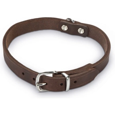 Afbeelding van Beeztees Halsband Hond Leer Bruin 32 37 cm x 16 mm