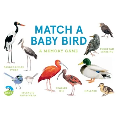 Afbeelding van Match A Baby Bird: Memory Game