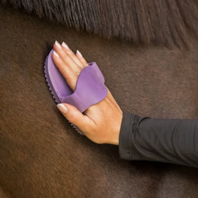 Afbeelding van Horka rosborstel rubber 16 cm paars