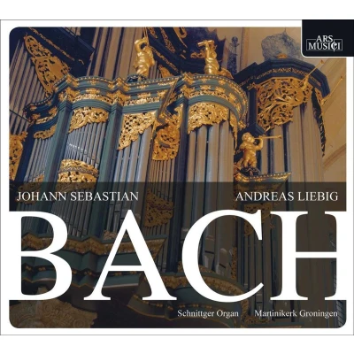 Afbeelding van Bach Organ Works Vol. 1