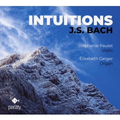 Afbeelding van Stephanie Paulet Elisabeth Geiger Intuitions (CD)