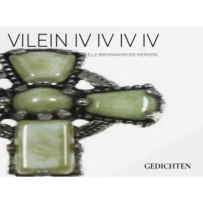 Afbeelding van VILEIN IV