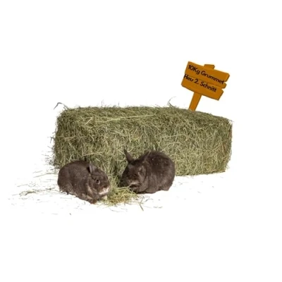 Afbeelding van agrar Store 10 kg kruidenhooi grummet hooi 2. gesneden weidehooi cavia&#039;s vers en onbehandeld