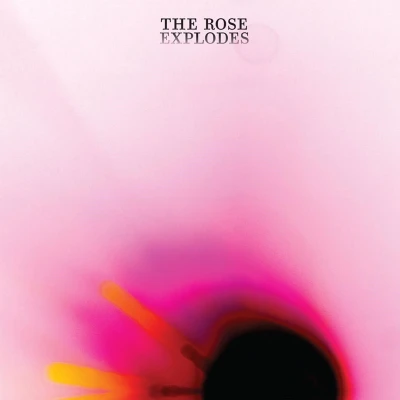 Afbeelding van Dream Boat Rose Explodes