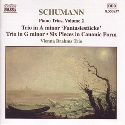 Afbeelding van Vienna Brahms Trio Schumann: Piano Trios Volume 2 (CD)