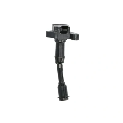 Afbeelding van Delphi Diesel Bobine GN10645 12B1