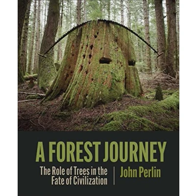 Afbeelding van A Forest Journey: the Role of Trees in Fate Civilization