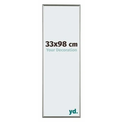 Afbeelding van Fotolijst 33x98cm Champagne Kunststof Evry