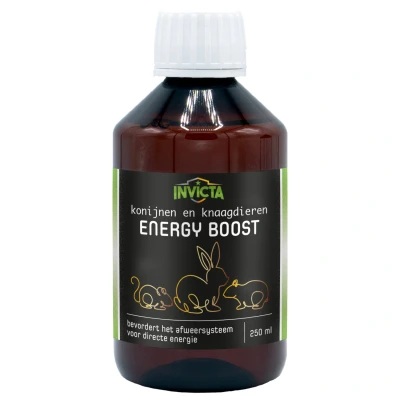 Afbeelding van Invicta Energy Boost Voedingssupplement 250 ml