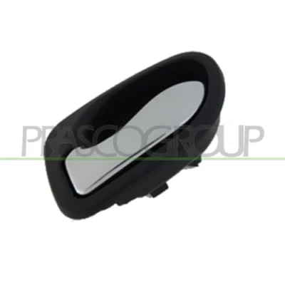 Afbeelding van Handgreep, interieur PRASCO HN3208506