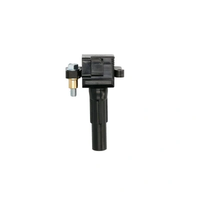 Afbeelding van Delphi Diesel Bobine GN10698 12B1