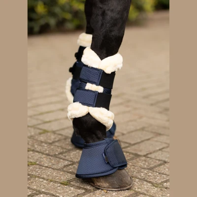 Afbeelding van Harry&#039;s Horse Beenbeschermers Flextrainer Hexagon Blueberryverkocht door Agradi