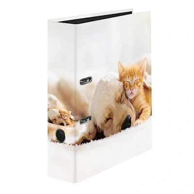 Afbeelding van Originele FALKEN motief map Pets. Made in Germany. 8 cm breed DIN A4 ringmap bestandsmap Briefordner plastic dieren hond en kat